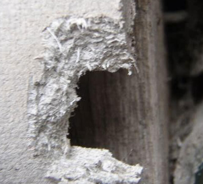 Asbestos Management